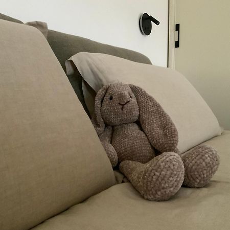 Monte Piccolo B&B Buje Kültér fotó
